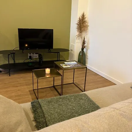 Daire Duplex - Secteur Gare Nancy
